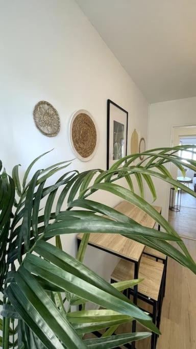 L'Instant Present - Calme & Elegant Proche Gare Apartment Roanne Luaran gambar